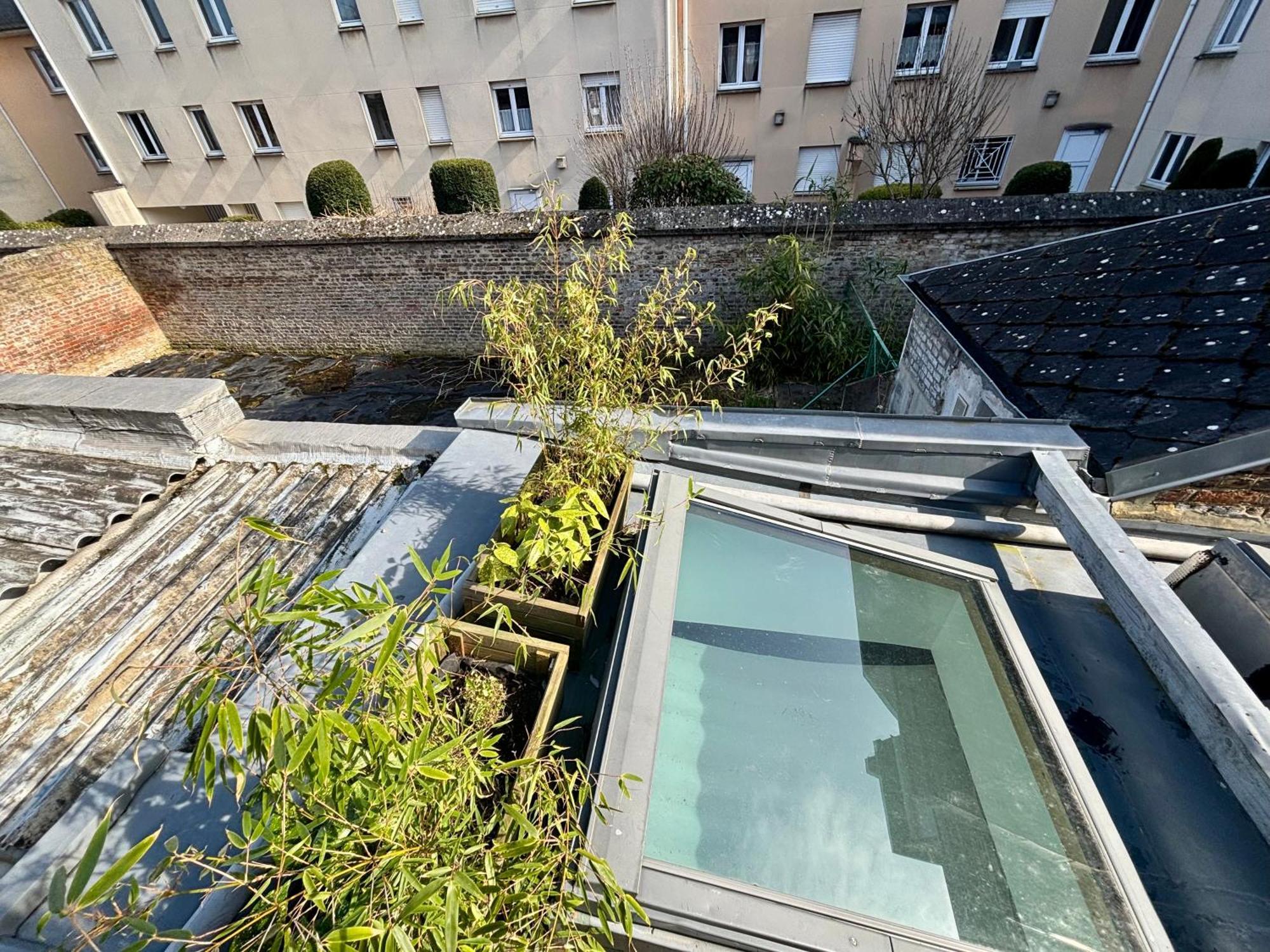 Jungle Studio - 2P A 4P -Henriville Amiens Buitenkant foto